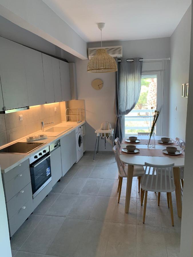 Gerakini Apartment Psakoudia Exteriér fotografie