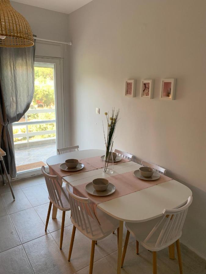 Gerakini Apartment Psakoudia Exteriér fotografie